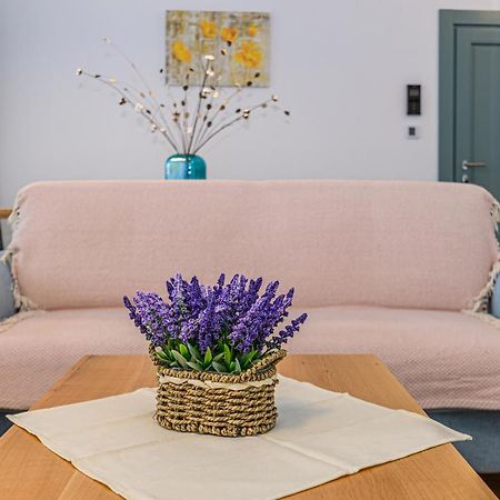 Kronstadt Olarilor Apartment Braszów Zewnętrze zdjęcie